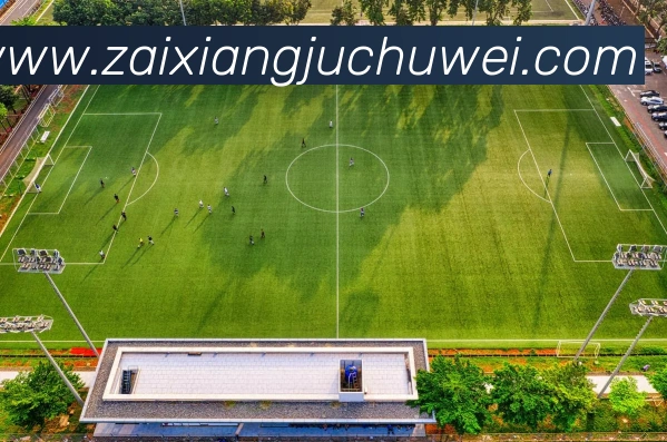 奖项图2